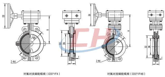 防爆電動襯氟對夾蝶閥結(jié)構(gòu)圖