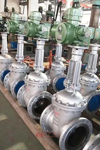 電動(dòng)高壓閘閥圖片