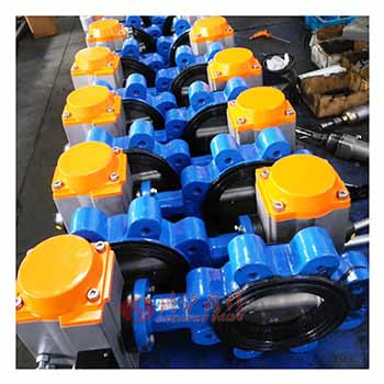 單夾式手動(dòng)蝶閥圖片